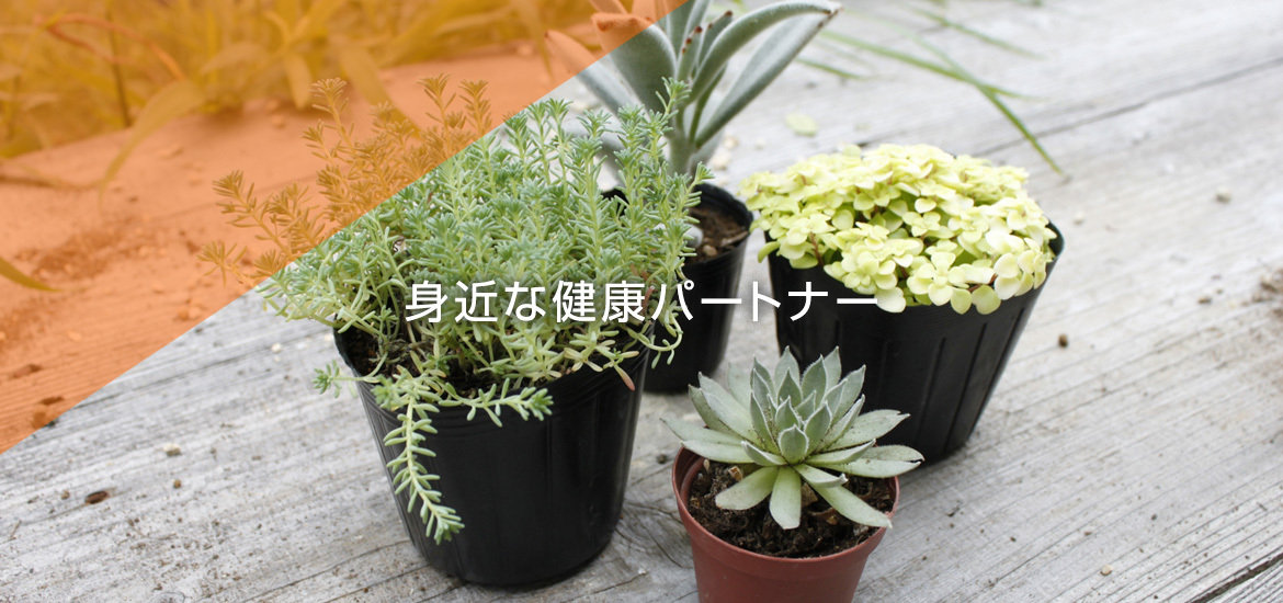 周南市周陽、大河内停留所近く、耳鼻咽喉科